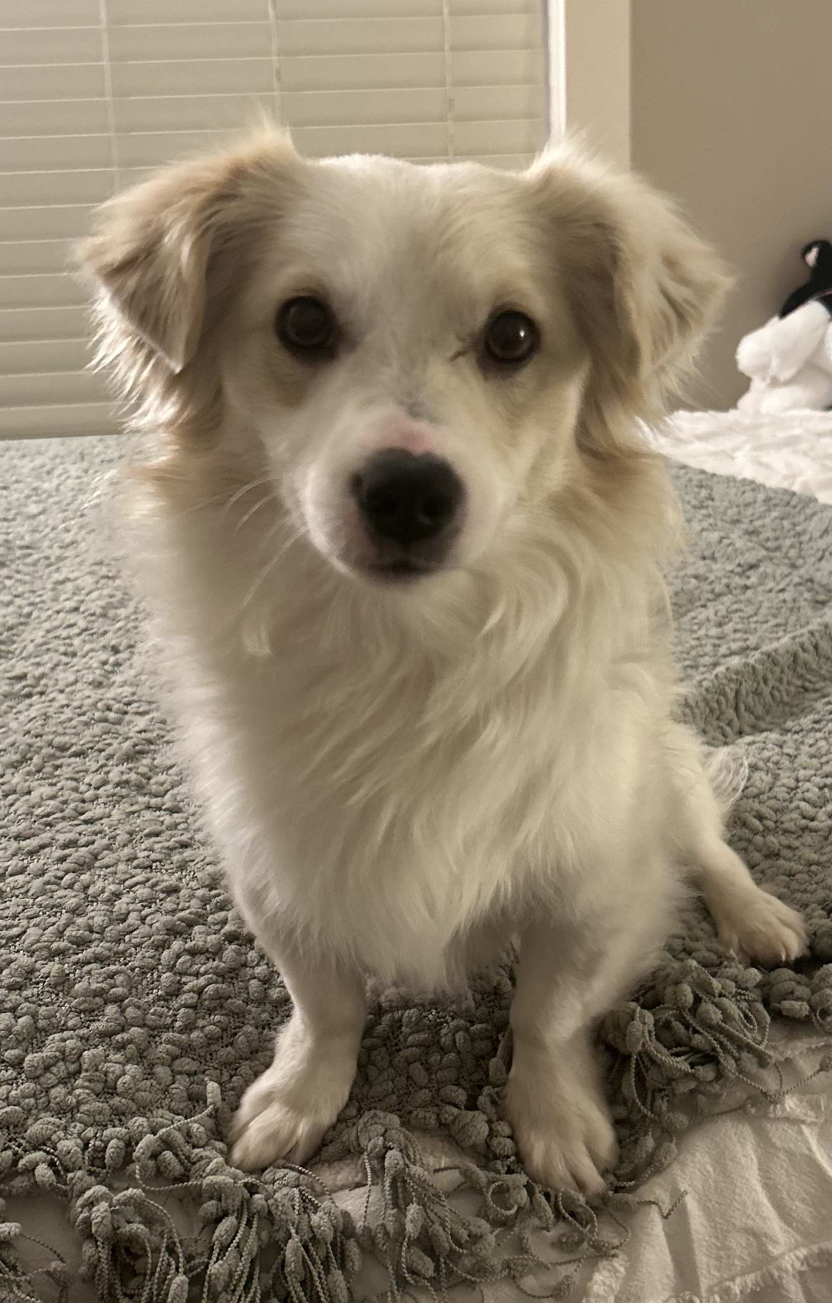 Yuki